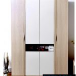 Tủ gỗ đựng quần áo hiện đại TAKATA-22